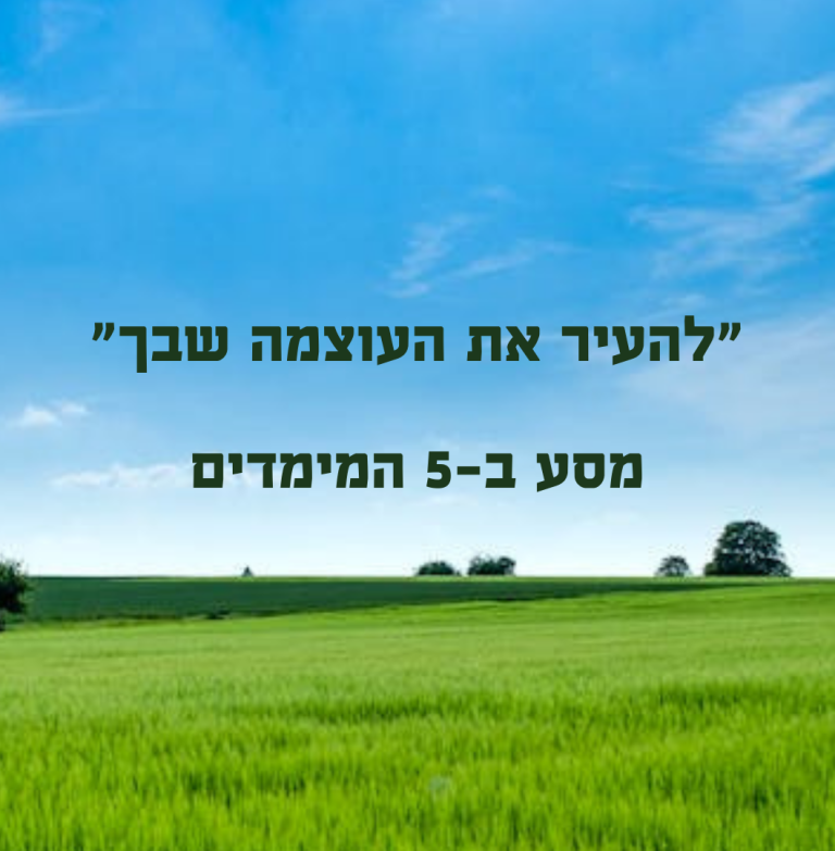 טיפול חמשת מימדים
